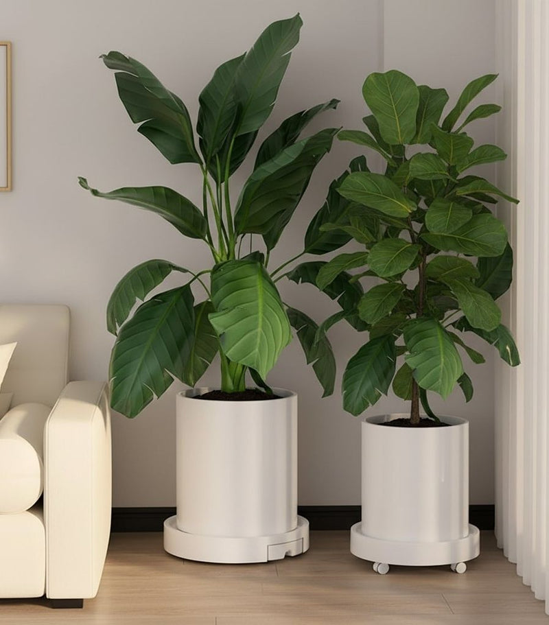 2-Pack Rolling Plant Stand with 360° Wheels for Indoor Pots (26 cm), White - alternate angle