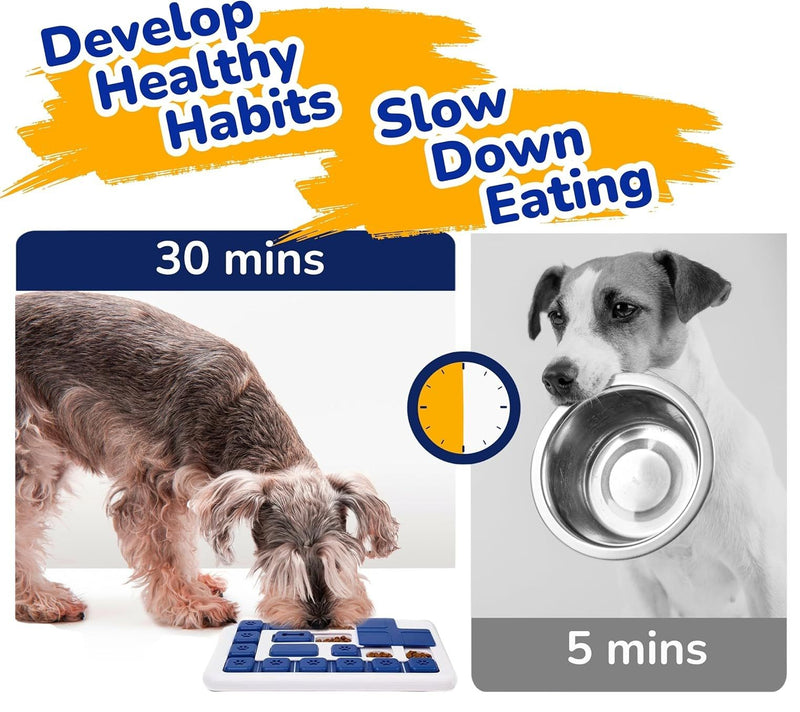 Interactive Dog Puzzle Toy Slow Feeder Treat Dispenser, Blue - detail view