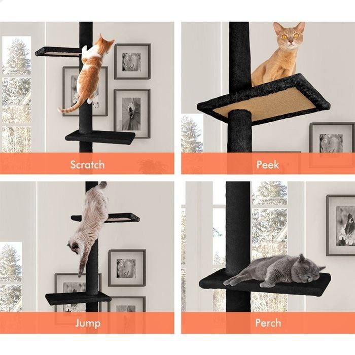 Floor to Ceiling Cat Tree Tower Adjustable 230 - 286cm Black - additional product view