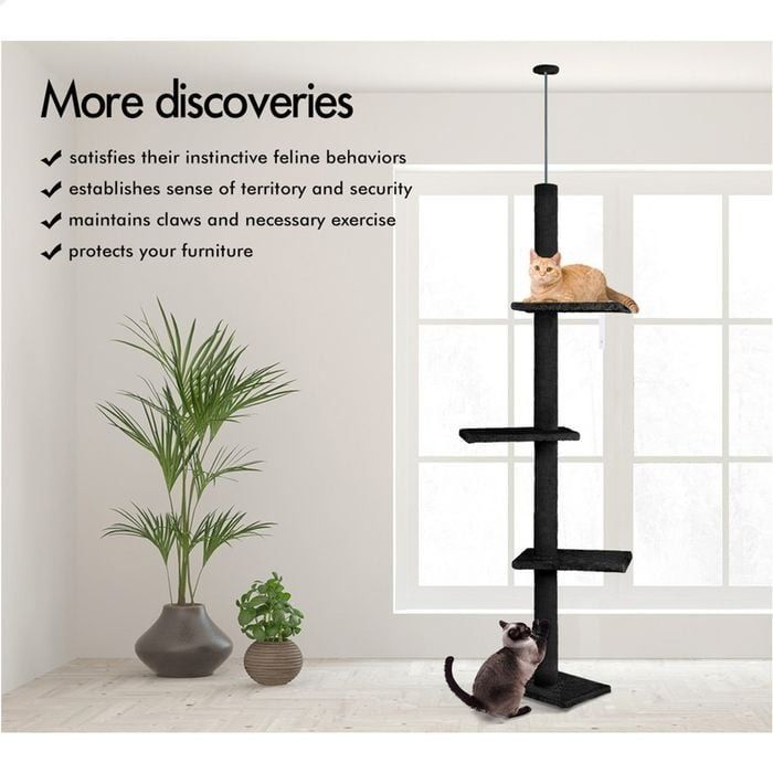 Floor to Ceiling Cat Tree Tower Adjustable 230 - 286cm Black