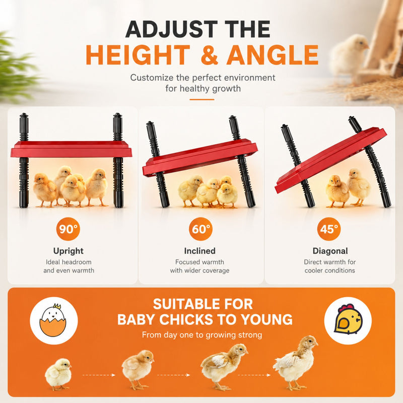 Chick Brooder Heating Plate, Adjustable Height, Red - size and scale view