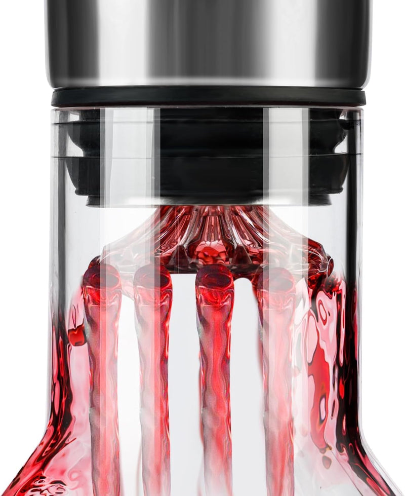Iceberg Wine Decanter with Aerator Filter and Lid