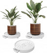 2-Pack Rolling Plant Stand with 360° Wheels for Indoor Pots (26 cm)