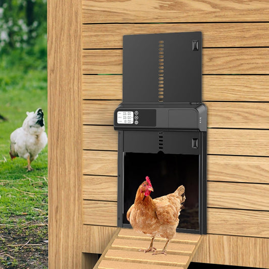 Automatic Chicken Coop Door with Timer and LCD Screen - Black - main product image