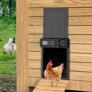 Automatic Chicken Coop Door Opener with Timer Control & Digital Accessories