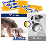 Interactive Dog Puzzle Toy Slow Feeder Treat Dispenser, Blue - detail view
