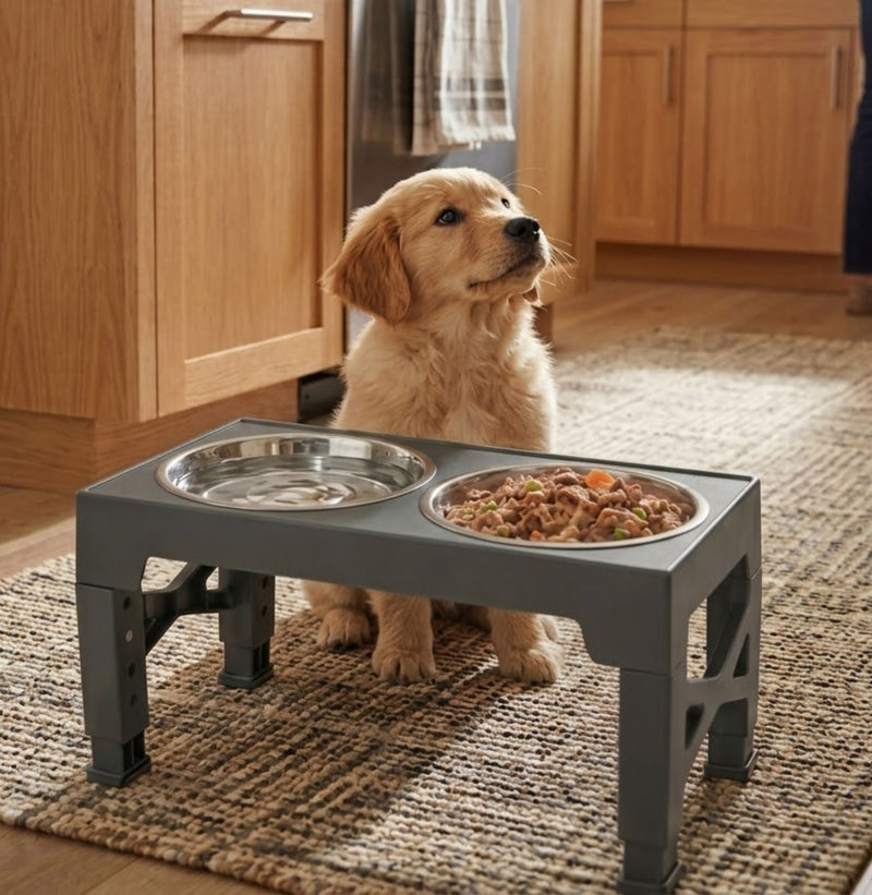 Raised Dog Bowl Stand Adjustable Height for All Dogs & Cats, Black - alternate angle