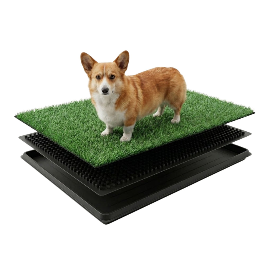 Dog Grass Pad with Tray 3-Layer for Indoor Outdoor Use, Green - main product image