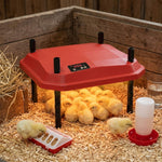 Chick Brooder Heating Plate, Adjustable Height, Red - alternate angle