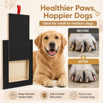 Dog Nail Scratch Board with Snack Box Sandpaper Puppy Nail, Natural - size and scale view