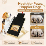 Dog Nail Scratch Board with Snack Box, Height Adjustable Puppy Nail, Natural - alternate angle